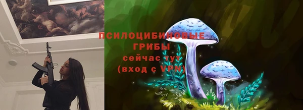 ECSTASY Горнозаводск